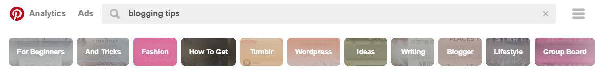 The search bar in Pinterest