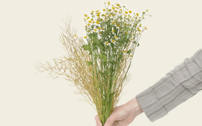 Girl holding bundle of wild flowers