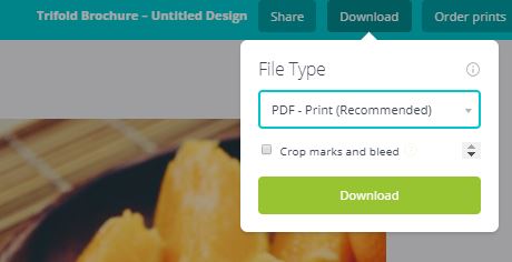 A screenshot to download your PDF on canva