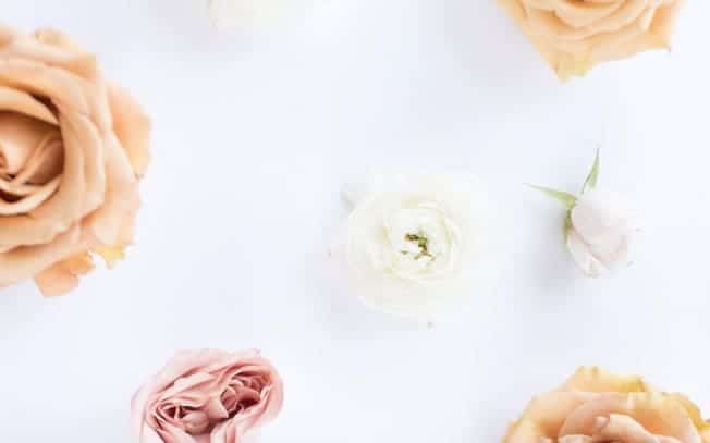 assorted flowers on a white background