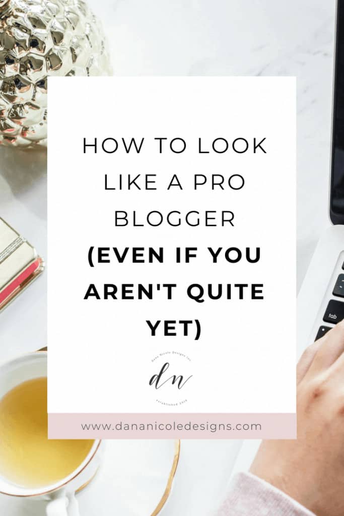 An image with text overlay that says: how to look like a pro blogger even if you aren't quite yet