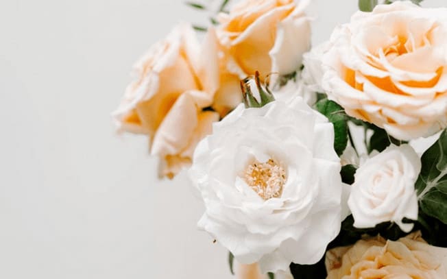 White and peach roses