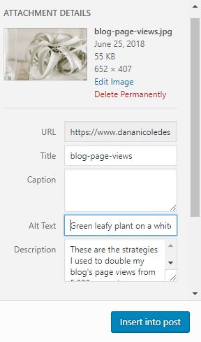 Screenshot of the WordPress interface where you can add Alt text