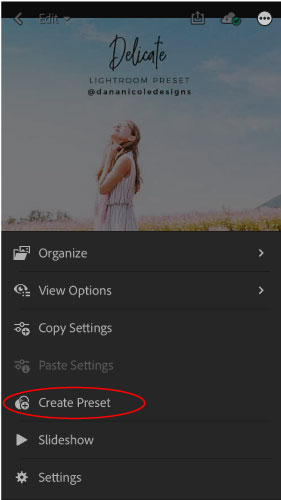 Lightroom app interface with "create preset" circled