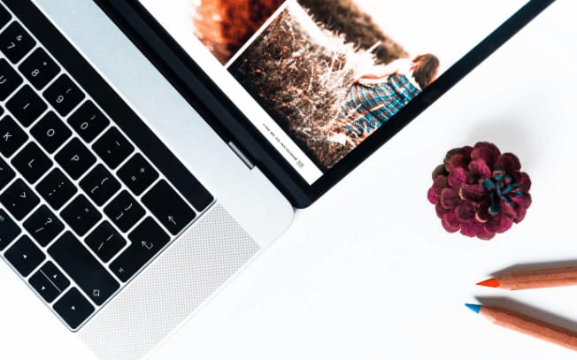 Laptop and plant from above