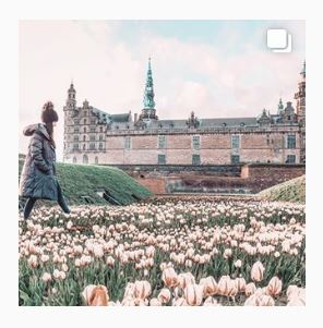 A girl walking through a field of pink flowers with castle in the background