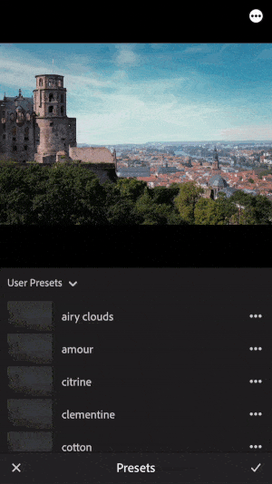 GIF showing lightroom editing app