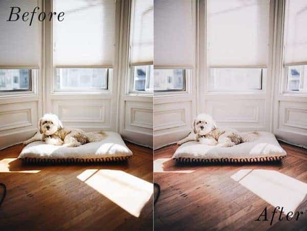 Before and After showing the effect that a preset has on an image. Image is of dog laying on his bed