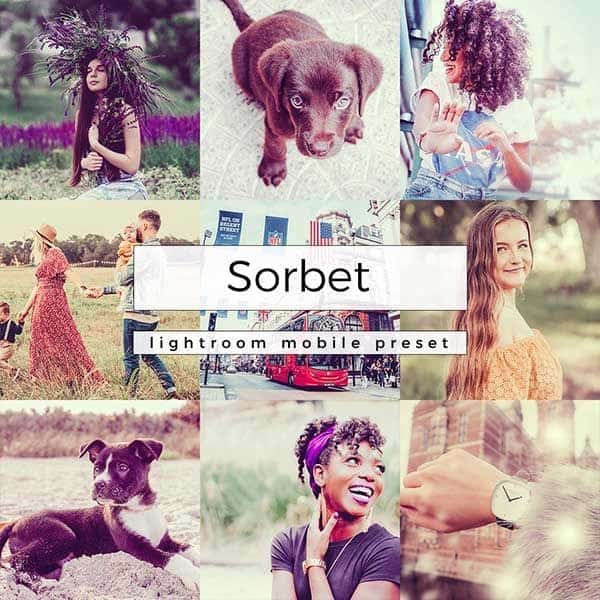 A grid of photos with text overlay
