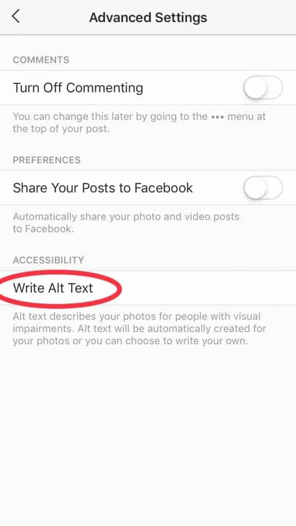 A screenshot showing where to write alt text in Instagram