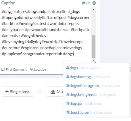 Hashtags for dogs