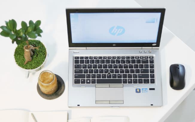 Laptop and plant on desk