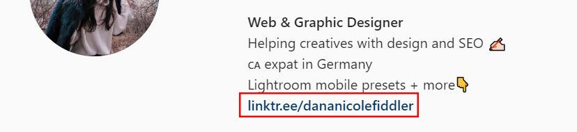 Screenshot of Instagram bio with a link
