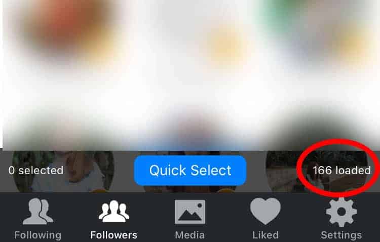 A screenshot of the app "Cleaner" to get rid of ghost followers on Instagram