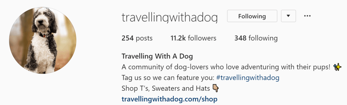 How to Effectively Use Hashtags for Business on Instagram - Dana Nicole