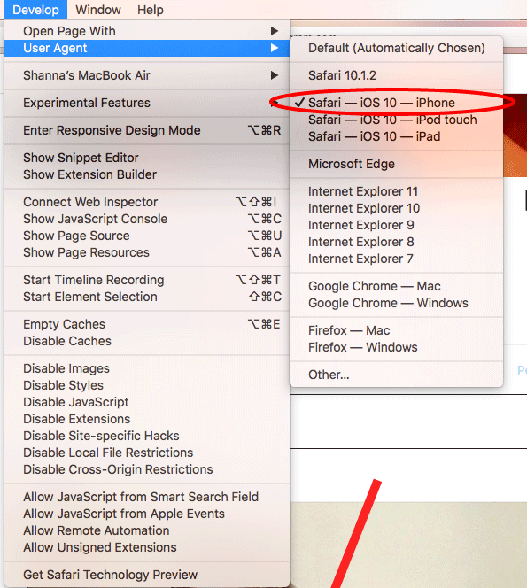 Screenshot of a a Mac computer's Develop tab