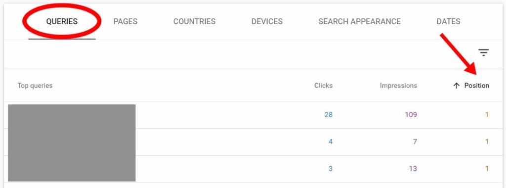 Screenshot of Google Search Console queries.