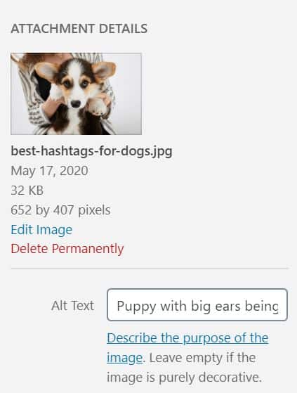 A screenshot of where to put the alt text in WordPress's interface
