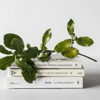 A stack of three books against a white background with green leaves draped over the top book.