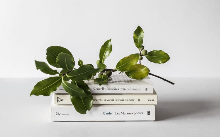 A stack of three books against a white background with green leaves draped over the top book.
