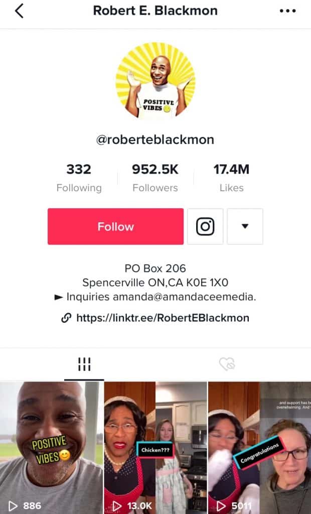 Screenshot of TikTok profile