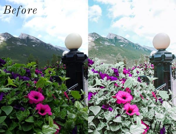 Before and after image of flowers and mountains