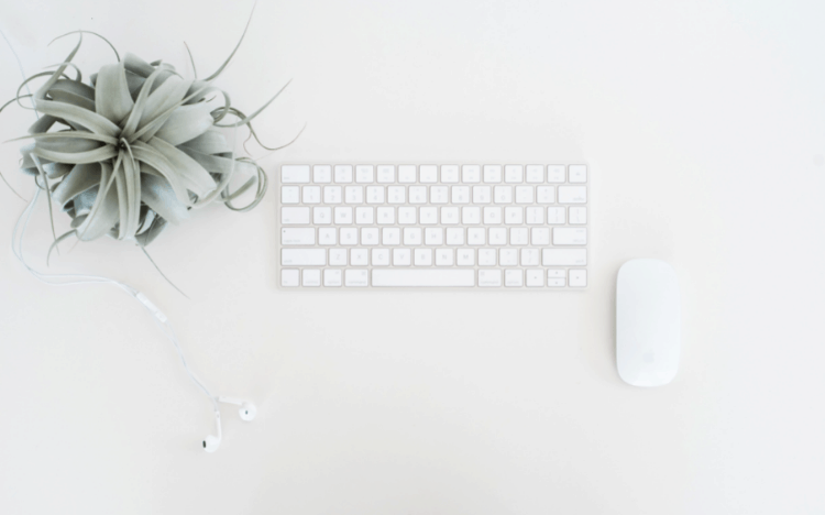 A plant, a computer mouse, and a keyboard.